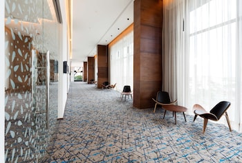 hilton garden inn merida