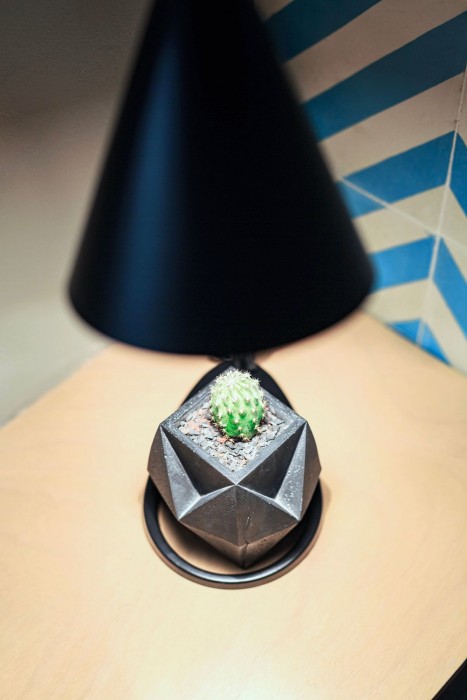 estancias vive mx wtc