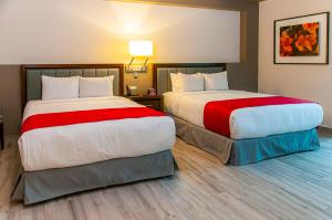 best western plus santa cecilia pachuca
