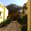 demetria bungalows