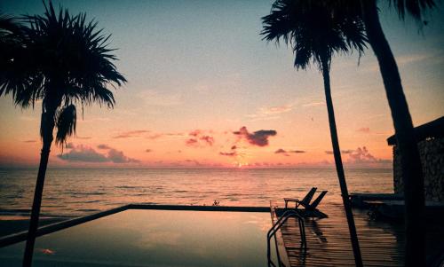 our habitas tulum adults only