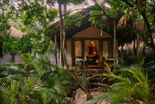our habitas tulum adults only