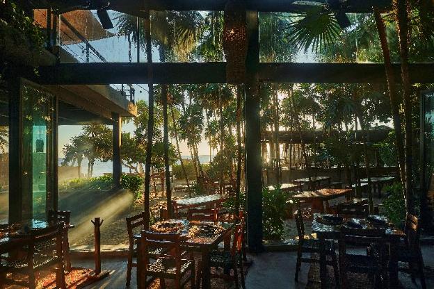 our habitas tulum adults only