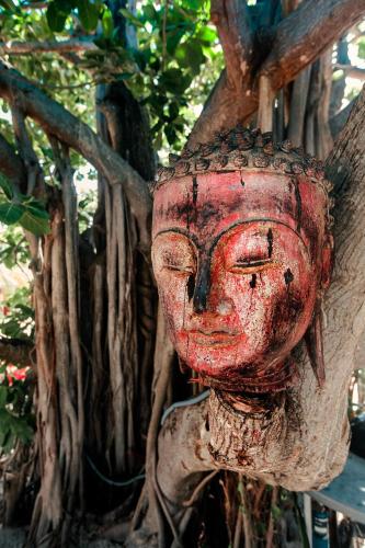 hotel paradise suites