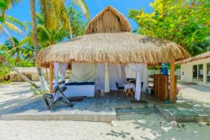 hotel paradise suites