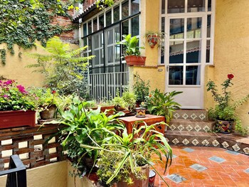 san miguel de allende