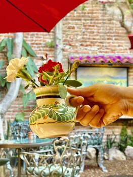 san miguel de allende