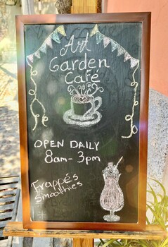 san miguel de allende