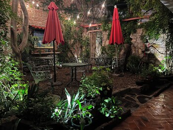 san miguel de allende