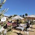 valle de guadalupe