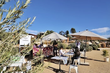 valle de guadalupe