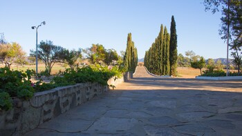 valle de guadalupe