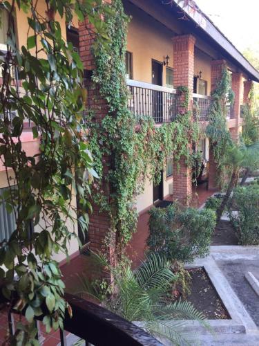 hotel siesta real