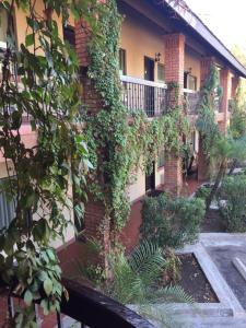 hotel siesta real