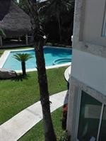 villa palmeras