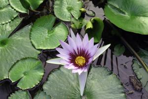 soul spring sanctuary