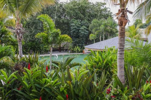 soul spring sanctuary