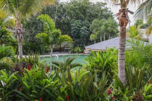 soul spring sanctuary