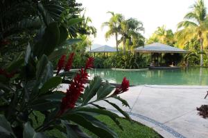 soul spring sanctuary