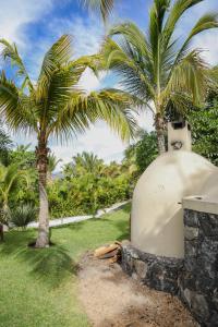 soul spring sanctuary