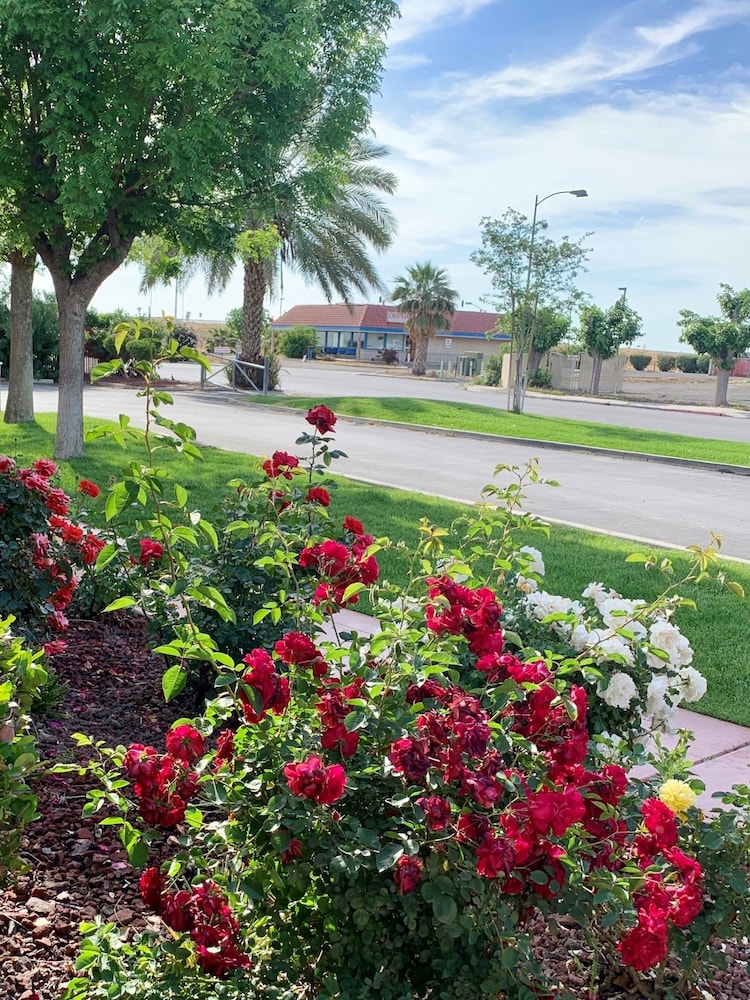 best western big country inn