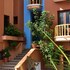 sayulita