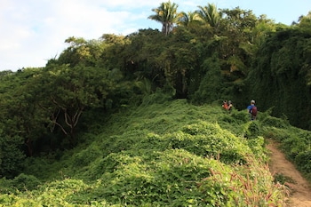 punto mita eco surf suites and cafe