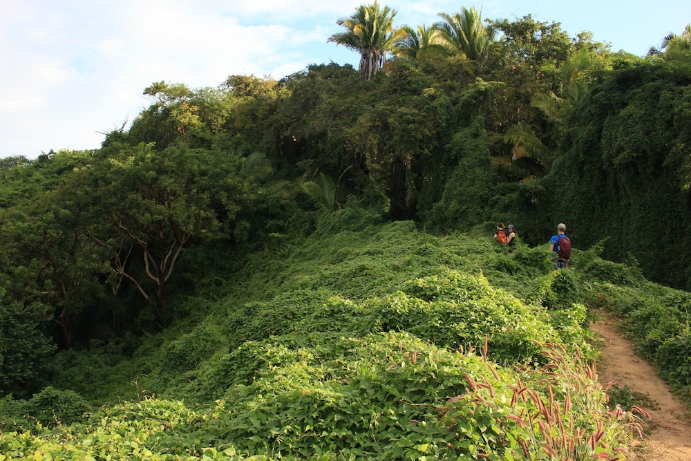 punto mita eco surf suites and cafe