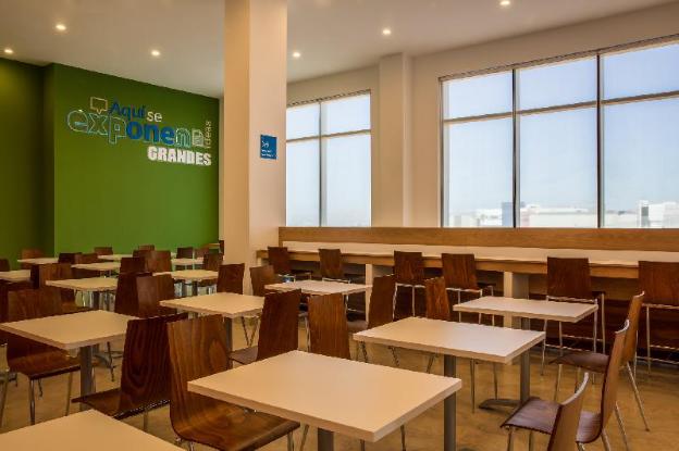 one chihuahua fashion mall