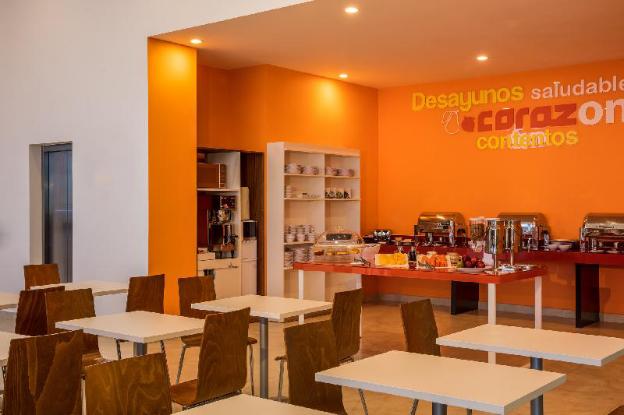 one chihuahua fashion mall