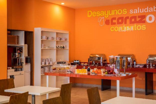 one chihuahua fashion mall