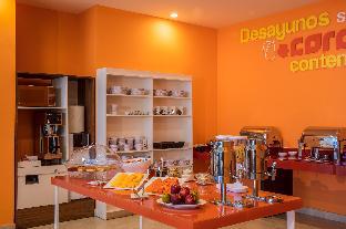 one chihuahua fashion mall