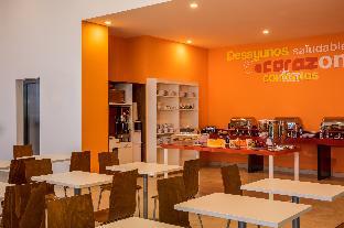 one chihuahua fashion mall