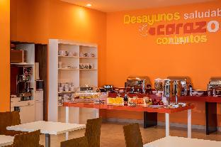 one chihuahua fashion mall