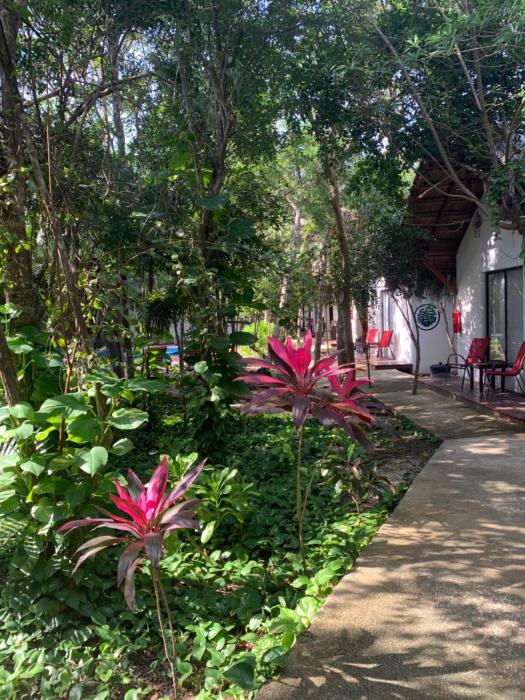 ecovergel riviera maya hotel boutique