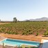 valle de guadalupe