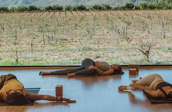valle de guadalupe