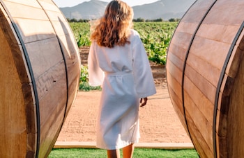 valle de guadalupe
