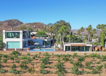 valle de guadalupe