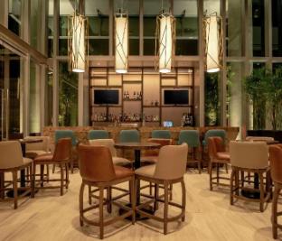 hilton garden inn chihuahua