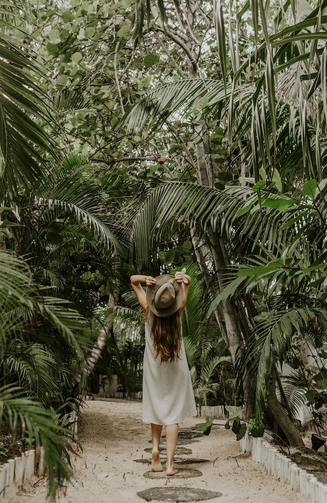coco unlimited
