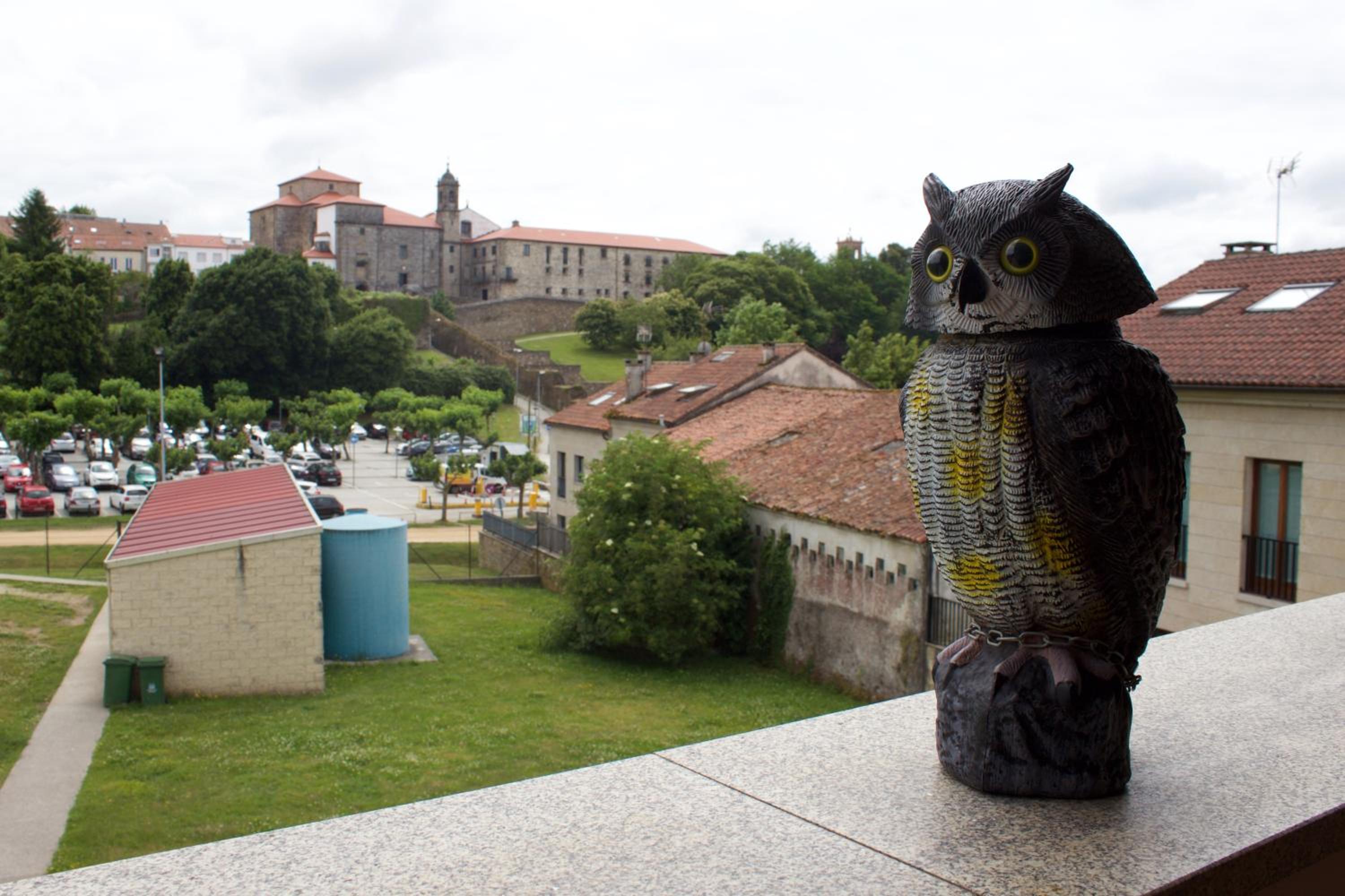 santiago de compostela