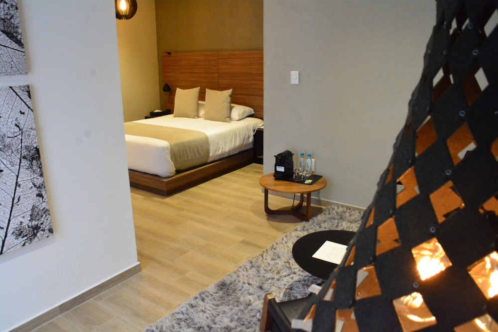 san miguel de allende