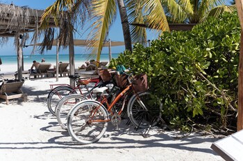 hotel punta caliza adults oriented