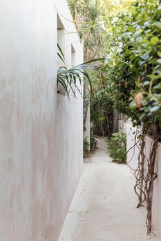 hotel punta caliza adults oriented