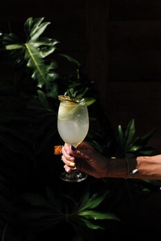 hotel punta caliza adults oriented