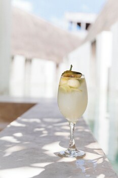 hotel punta caliza adults oriented