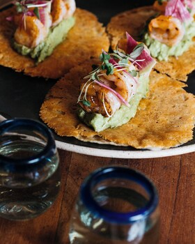 hotel punta caliza adults oriented