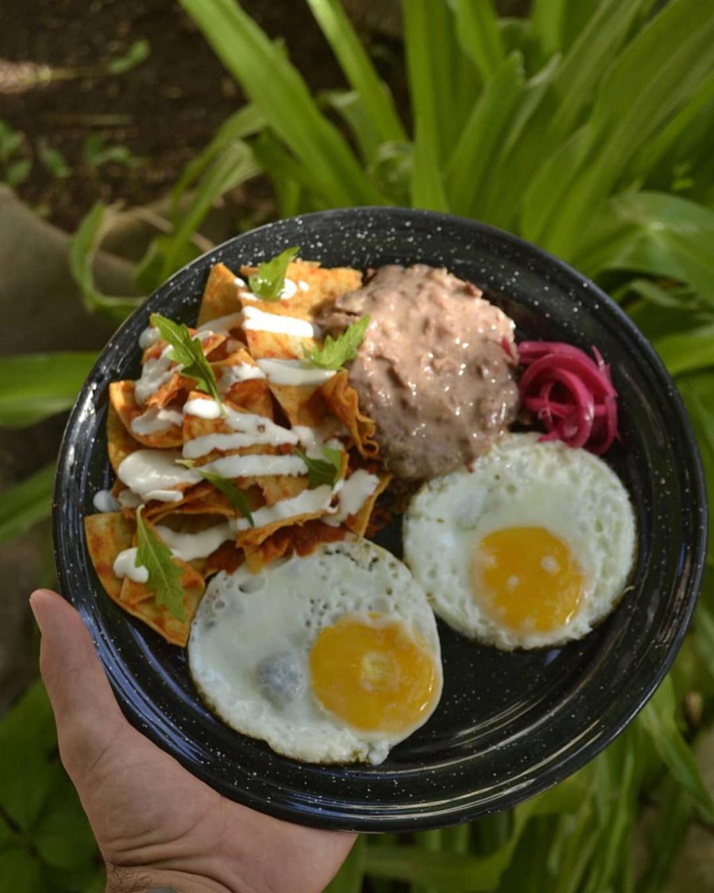 la diosa kali beach front hotel