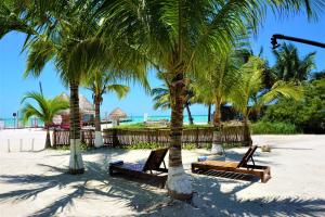 la diosa kali beach front hotel